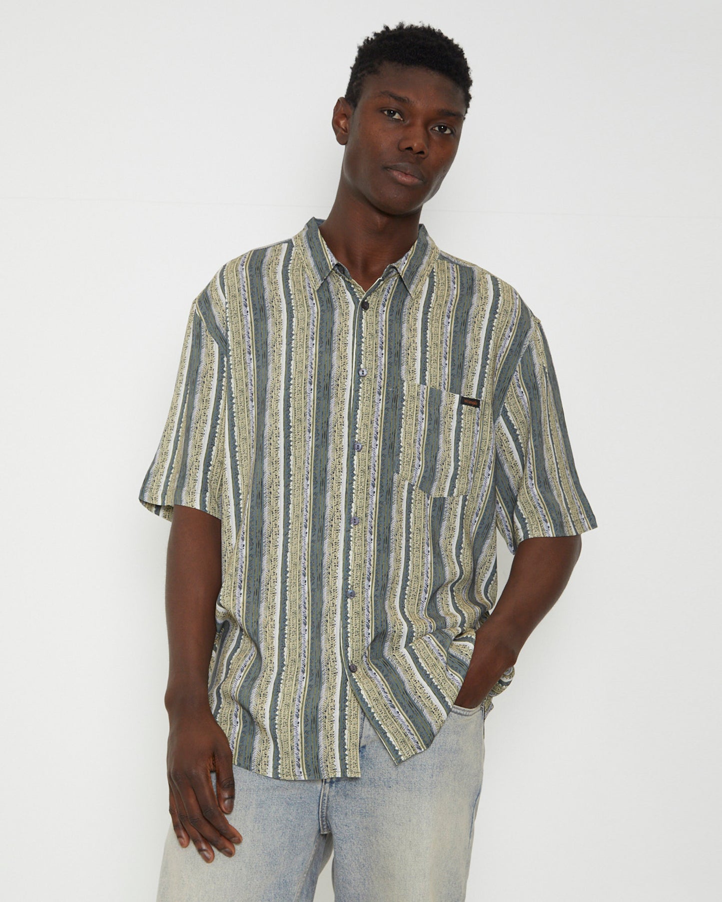 Garageland Short Sleeve Shirt in Fern Stripe Green