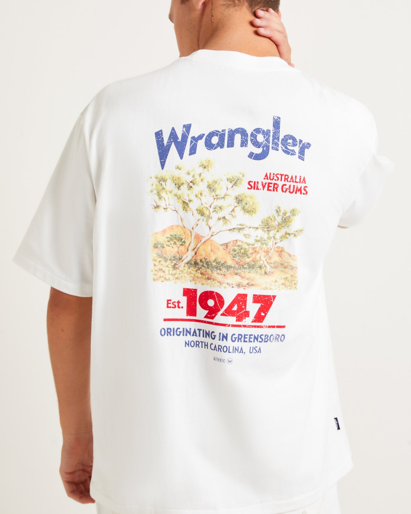 Silver Gum Slacker T-Shirt in Vintage White