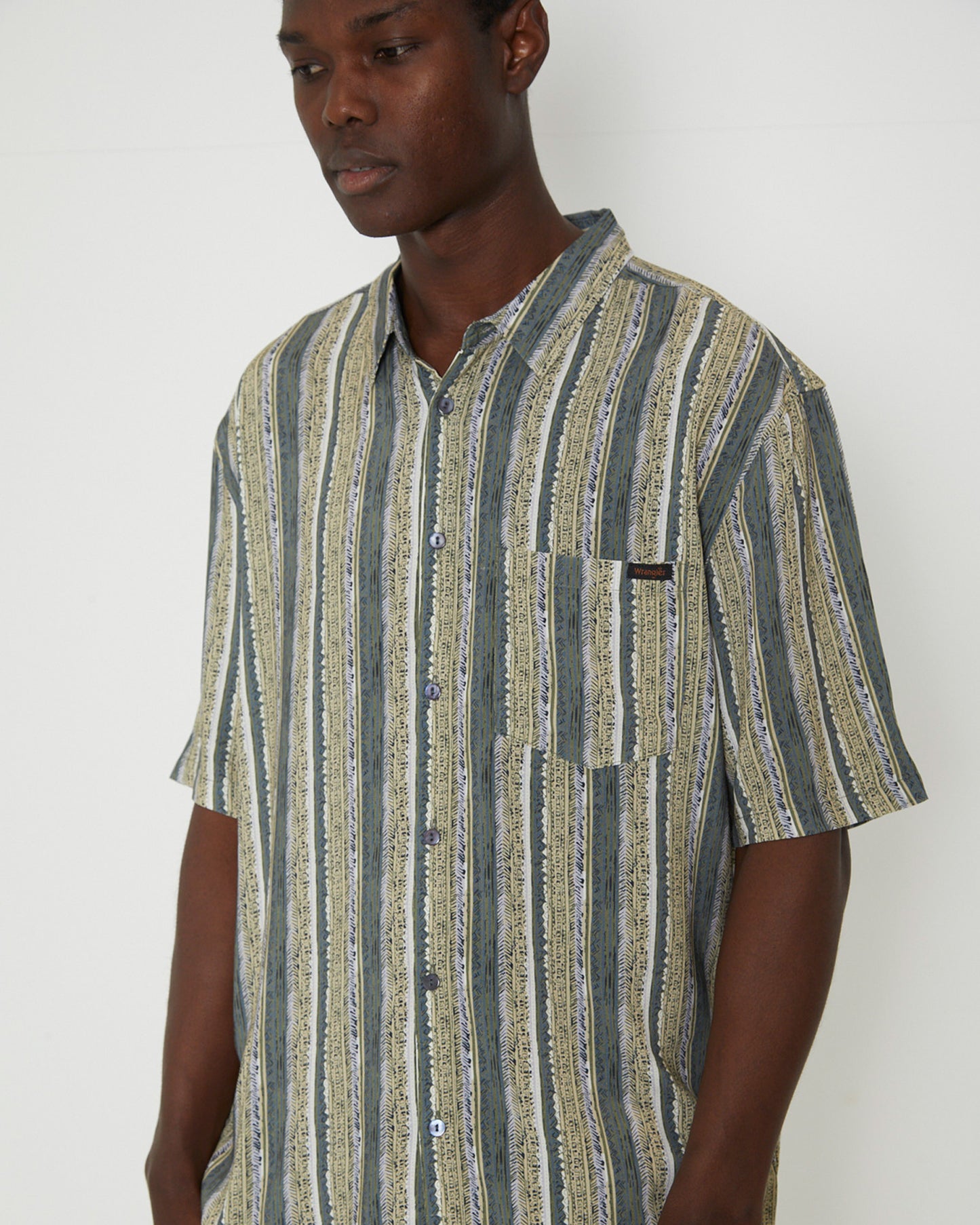 Garageland Short Sleeve Shirt in Fern Stripe Green
