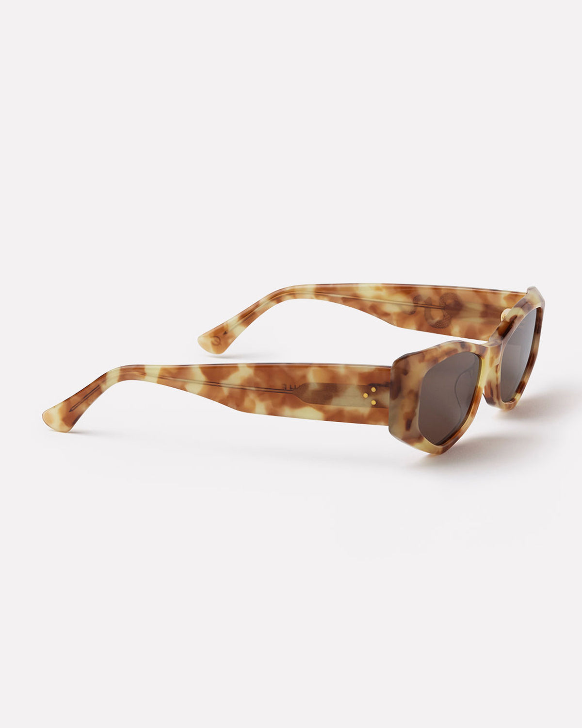 Guilty Sunglasses Hazel Tortoise / Bronze Hazel Tortoise / Bronze