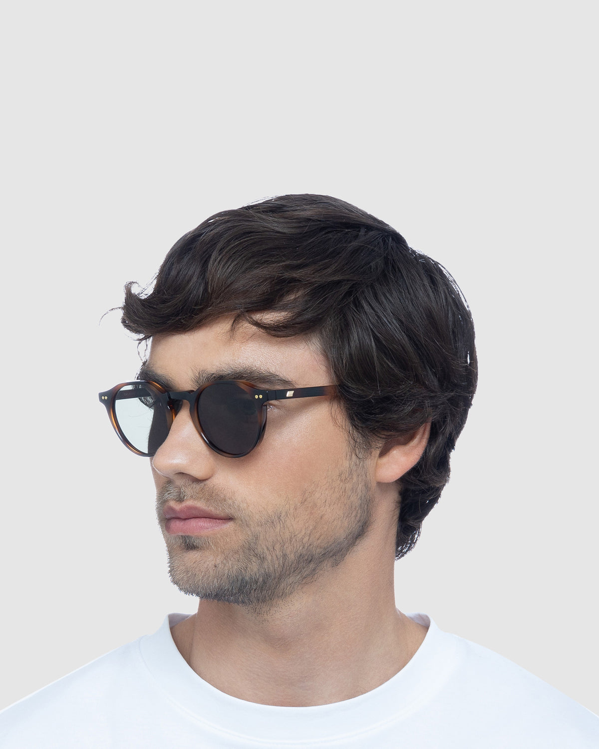 Galavant Sunglasses TORT/GREEN MONO