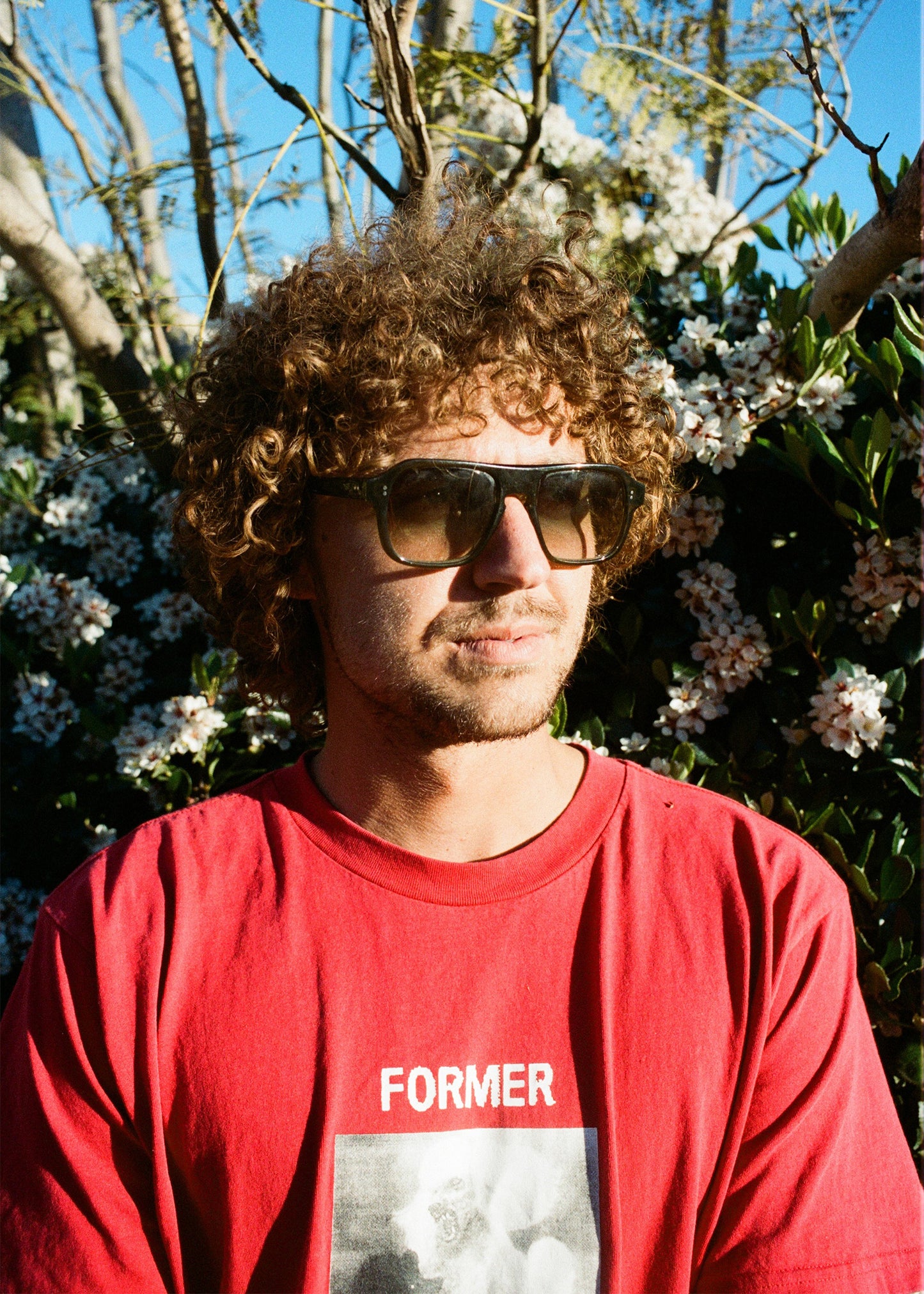 Pano Sunglasses